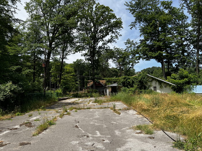 Deer Forest - July 2 2022 Photo (newer photo)